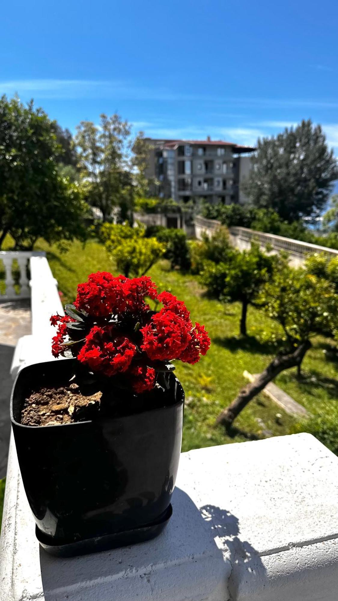 Villa Mare - For Families & Groups Vlorë Exteriör bild